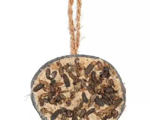 MEZZO COCCO+INSETTI <br/> Mangime e Mangiatoie Uccelli Selvatici