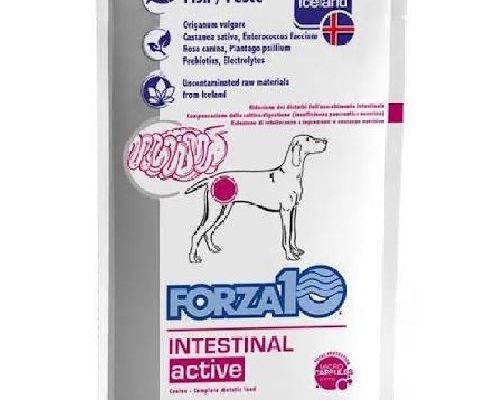 FORZA10 CANE DIET INTESTINAL COLON 100 GR BUSTA <br/> Dieta Veterinaria per Cani