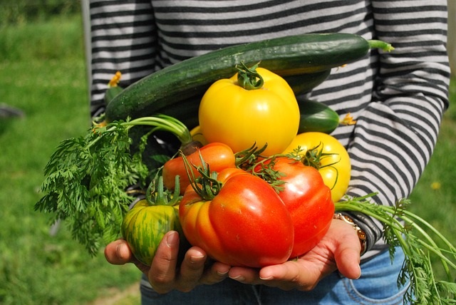 2015 07 03 5 COSE DA FARE A LUGLIO NELLORTO 2