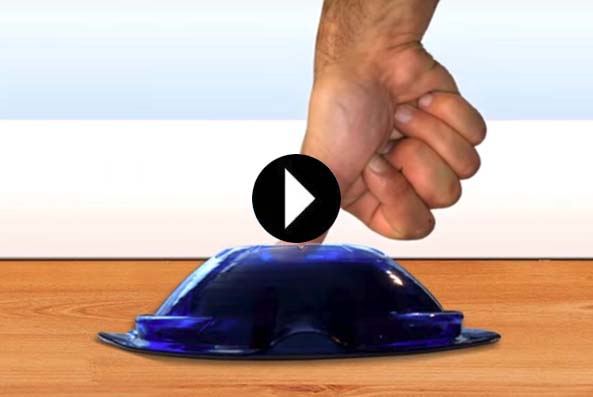 video bayer formiche