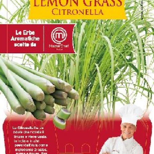 LEMON GRASS O CITRONELLA V14 MASTERCHEF <br/> Piante Aromatiche