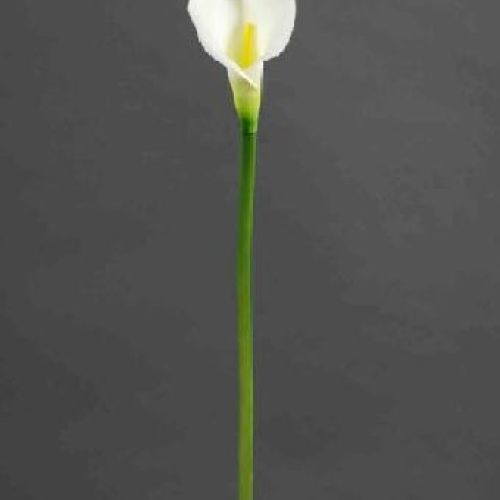 8286X CALLA 74 CM <br/> Fiori Finti e Piante Finte