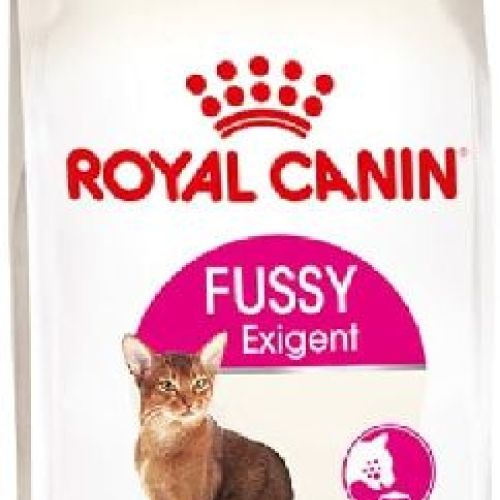 Royal Canin Cat Fussy Exigent 400 Gr <br/> Cibo Secco per Gatti