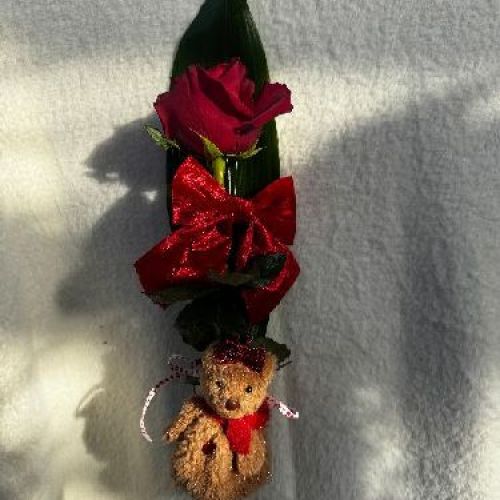 1 ROSA CON FIOCCO, PELUCHE E FOGLIA DI ASPIDISTRA <br/> Bouquet di Fiori e Richiesta Consegna a Domicilio