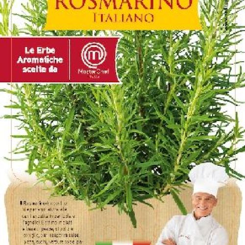 ROSMARINO V14 MASTERCHEF <br/> Piante Aromatiche