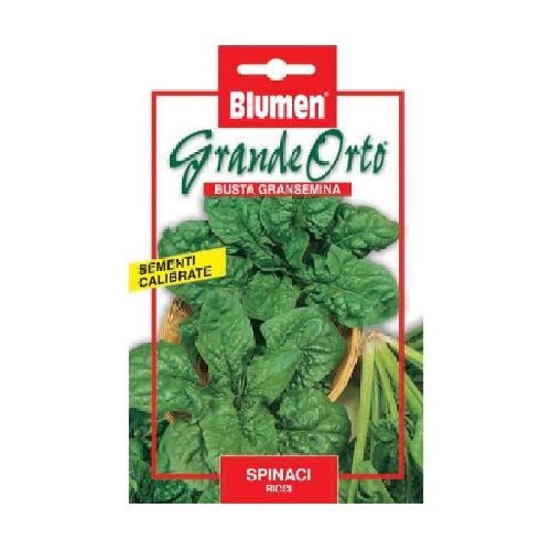 BLUMEN MAXI ORTO SPINACIO MERLO NERO <br/> Semi da Orto
