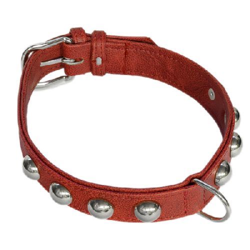 Bijou Rosso tg. L - Collo: 48-60 cm <br/> Guinzagli, Collari e Pettorine