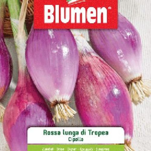 BLUMEN BUSTA SEMI CIPOLLA TROPEA ROSSA LUNGA <br/> Semi da Orto