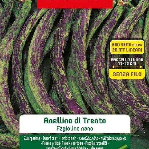 Blumen legumi maxi busta Fagiolini nani anellino di Trento <br/> Semi da Orto