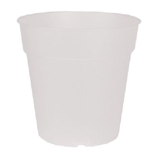 Vaso Madagascar trasparente cm 21 per orchidea <br/> Vaso per Interni e decorazioni