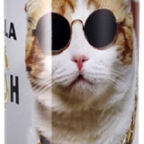 100322 SALVADANAIO GATTO RAPPER CM 10X H 15 <br/> Mobili e Complementi d'arredo