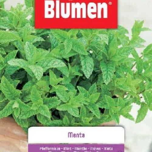 Blumen busta semi Menta <br/> Semi da Orto