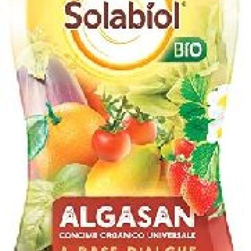 Algasan concime liquido 1 lt <br/> Concime per Piante da Esterno