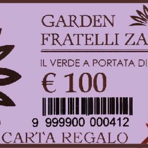 Carta regalo € 100 <br/> Gift Card Online