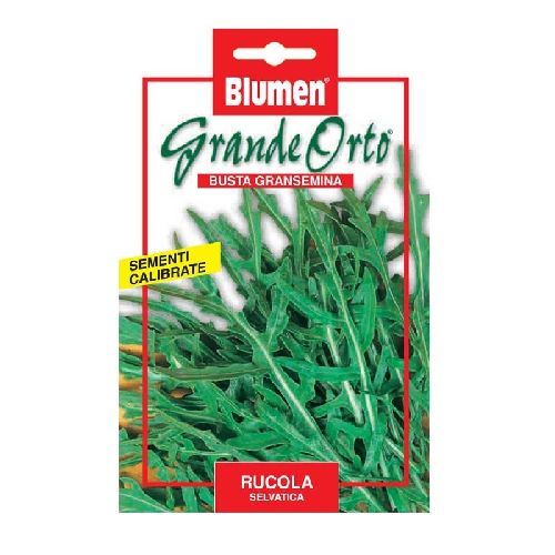 BLUMEN MAXI ORTO RUCOLA SELVATICA <br/> Semi da Orto