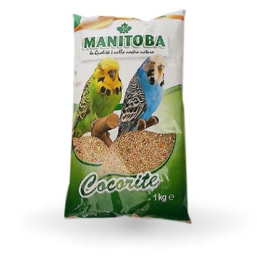 Miscuglio Cocorite Biscuit 1 kg Manitoba <br/> Mangime Pappagalli e uccelli Esotici