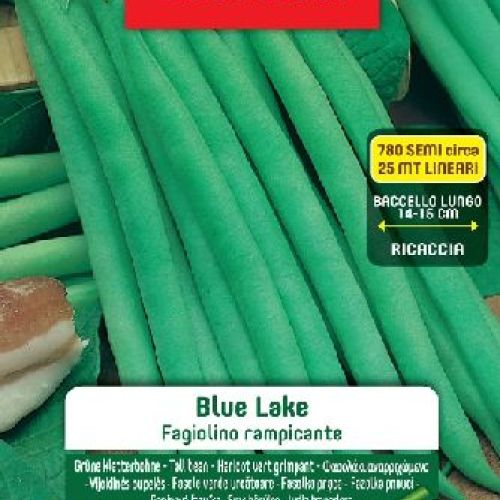 Blumen legumi maxi busta Fagiolini rampicanti blue lake <br/> Semi da Orto