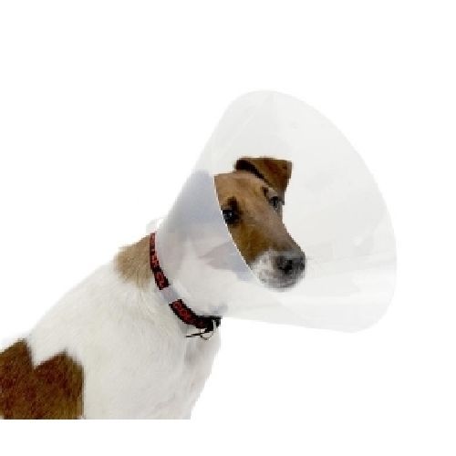 Collare Elisabetta 40 cm <br/> Traversine e Salviette Cane