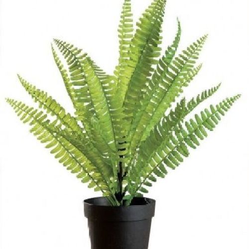 57726 Vaso con felce artificiale diam.35xh38cm <br/> Fiori Finti e Piante Finte