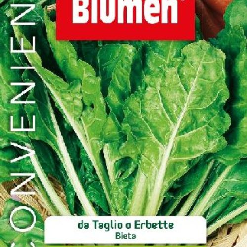 BLUMEN MAXI ORTO ERBETTE DA TAGLIO FOGLIA LISCIA <br/> Semi da Orto