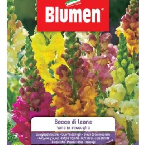 Blumen giardino fiori Bocca di leone nana mix <br/> Semi da Fiore