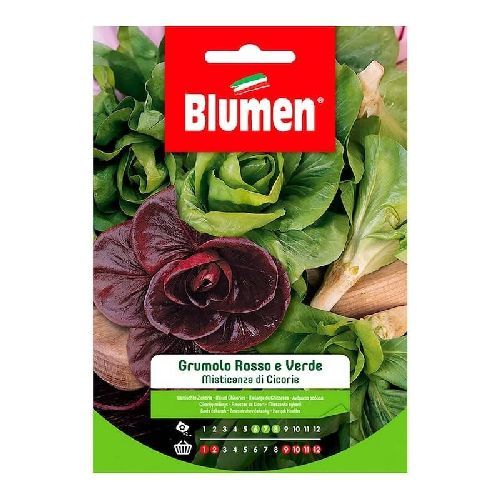 BLUMEN BUSTA SEMI MISTICANZA DI CICORIE GRUMOLO VERDE E ROSSO <br/> Semi da Orto