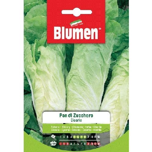 BLUMEN BUSTA SEMI CICORIA PAN DI ZUCCHERO <br/> Semi da Orto