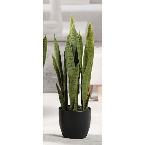 57650 sanseveria h68 <br/> Fiori Finti e Piante Finte