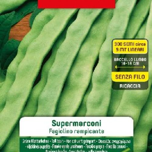 BLUMEN LEGUMI MAXI BUSTA FAGIOLINI RAMP. SUPERMARCONI <br/> Semi da Orto