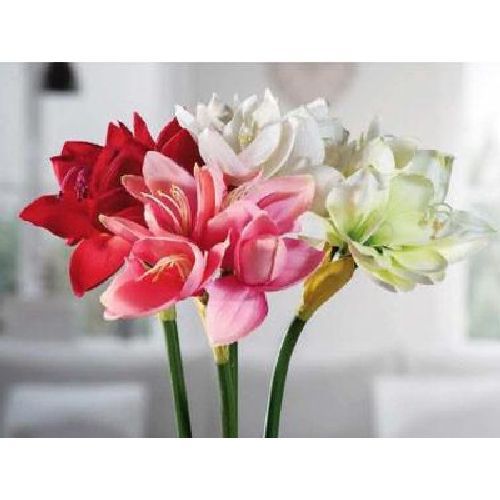 53533 Amaryllis artificiale 78 cm 4 fiori <br/> Fiori Finti e Piante Finte