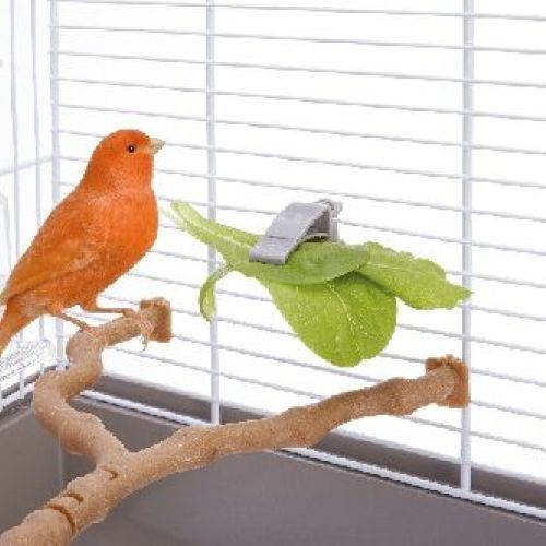 Pinza universale per voliera (2 pz) <br/> Gabbie Uccelli e Accessori