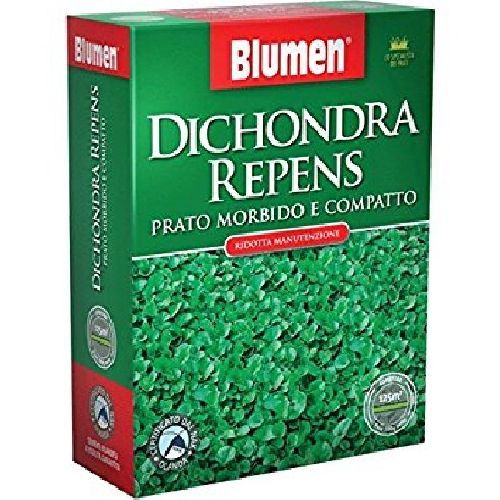 BLUMEN DICHONDRA REPENS 200 GR <br/> Semi per Prato