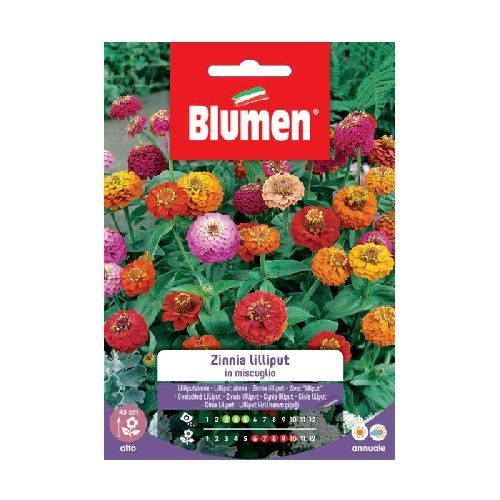 Blumen giardino fiori Zinnia liliput mix <br/> Semi da Fiore