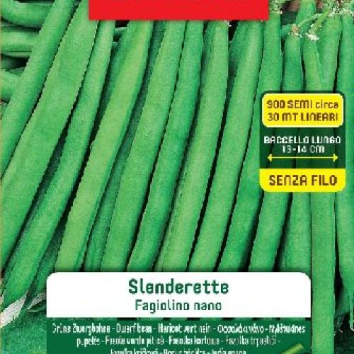 Blumen legumi maxi busta Fagiolini nani Slenderette <br/> Semi da Orto