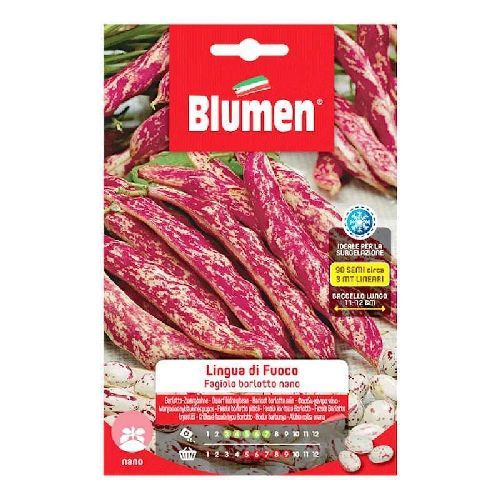 BLUMEN LEGUMI MAXI BUSTA FAGIOLI BORLOTTI NANI LINGUA DI FUOCO <br/> Semi da Orto