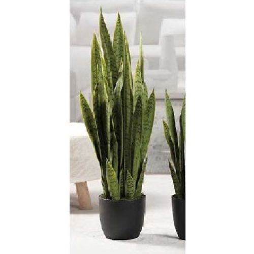 57651 sanseveria h88 <br/> Fiori Finti e Piante Finte