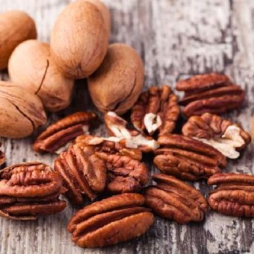 CARYA ILLINOINENSIS NOCE PECAN v17 <br/> Piante e Alberi da Frutto