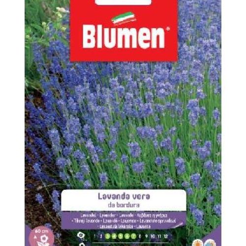 BLUMEN GIARDINO FIORI LAVANDA VERA DA BORDURA <br/> Semi da Fiore