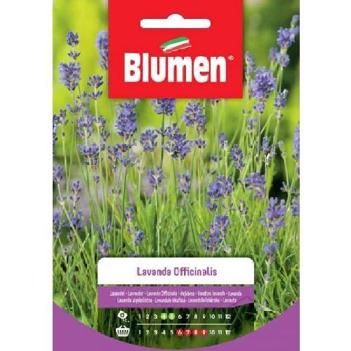 Blumen busta semi Lavanda officinalis <br/> Semi da Orto