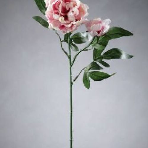 8164x peonia artificiale 65 cm <br/> Fiori Finti e Piante Finte