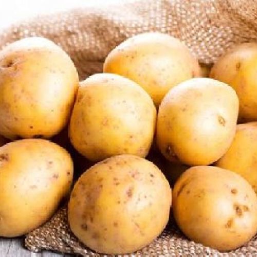 PATATA MOZART 5 KG (BUCCIA ROSSA, PASTA GIALLA) <br/> Semi da Orto