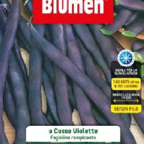 BLUMEN LEGUMI MAXI BUSTA FAGIOLINI RAMP. COSSE VIOLETTE <br/> Semi da Orto