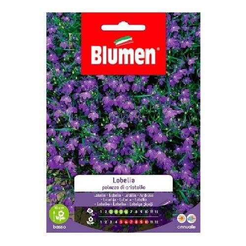 Blumen giardino fiori Lobelia palazzo di cristallo <br/> Semi da Fiore