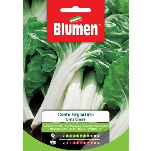 Blumen busta semi Bieta verde a costa bianca <br/> Semi da Orto