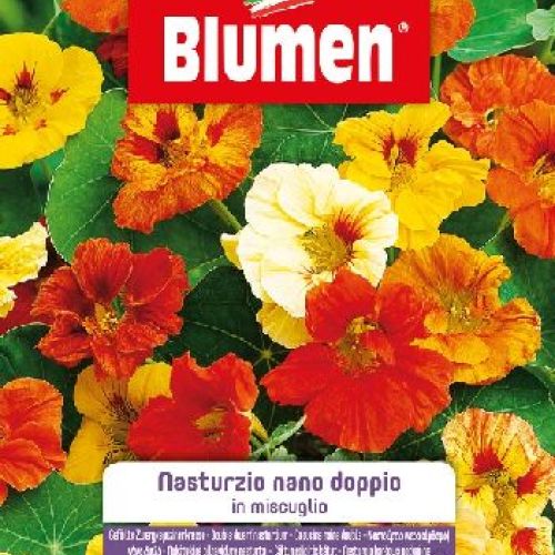 BLUMEN GIARDINO FIORI NASTURZIO NANO DOPPIO MIX <br/> Semi da Fiore