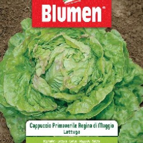 BLUMEN BUSTA SEMI LATTUGA CAPPUCCIO PRIMAVERILE REGINA DI MAGGIO <br/> Semi da Orto