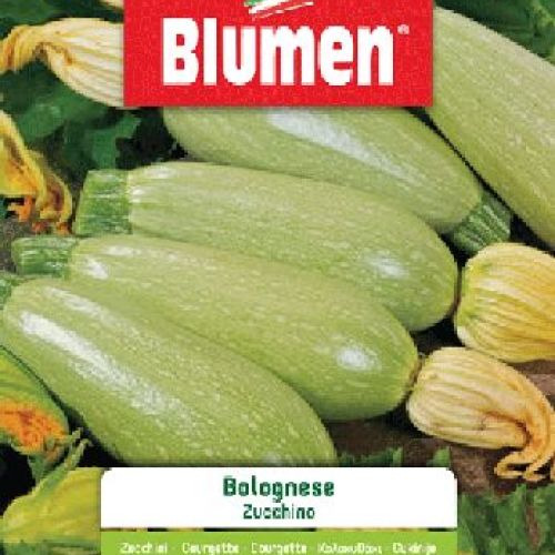 BLUMEN BUSTA SEMI ZUCCHINO BOLOGNESE <br/> Semi da Orto