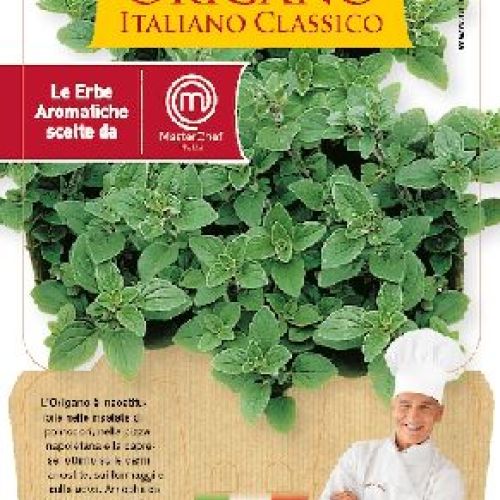 ORIGANO V14 MASTERCHEF <br/> Piante Aromatiche