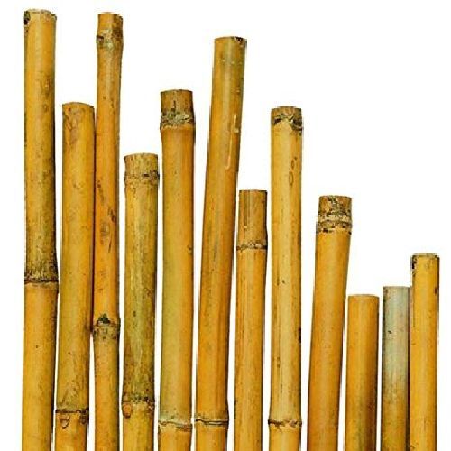 CANNA BAMBU' H.210cm-DIAM.24/26/28mm <br/> Canne di Bamboo, Bordure e Tutori per Orto, Serre