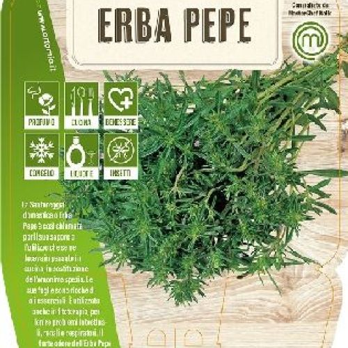 ERBA PEPE V14 MASTERCHEF <br/> Piante Aromatiche